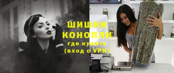 крисы Баксан