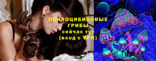 крисы Баксан