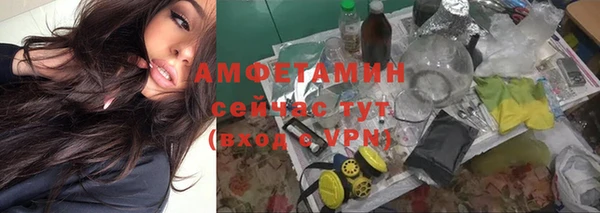 крисы Баксан